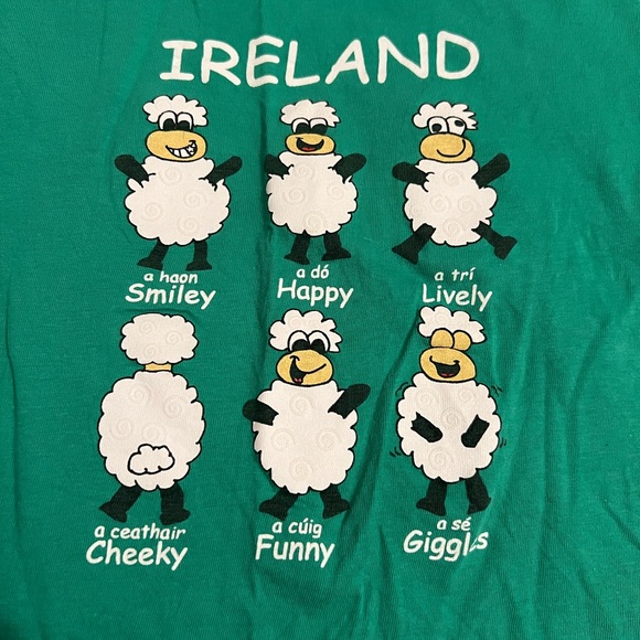 Bundle of 2 Irish 3T St. Patrick’s Day shirts green and white toddler boy - Picture 4 of 10